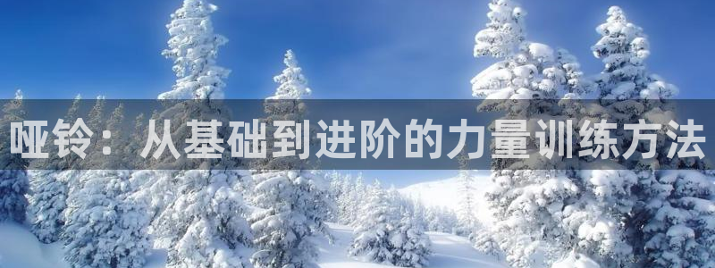 龙8国际官方下载