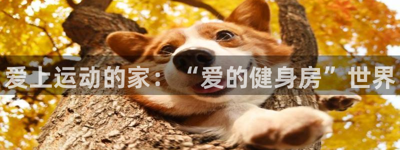 龙8国际手机版
