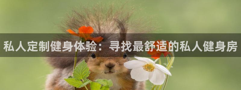 龙8国际总代理