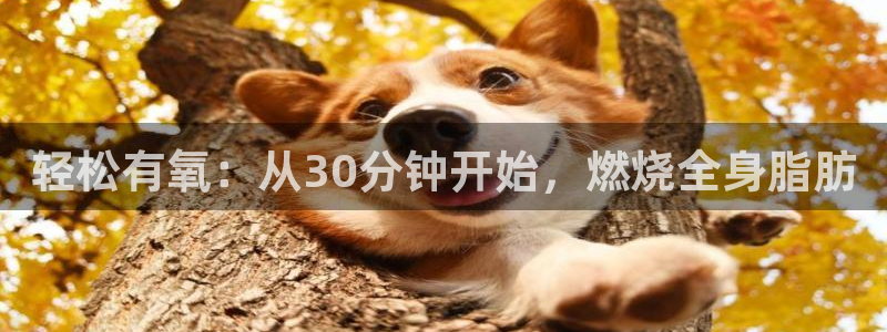 龙8国际官网登录口