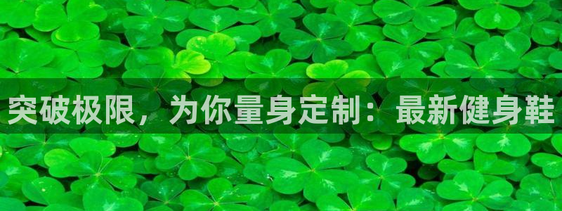 龙8国际官网手机登录