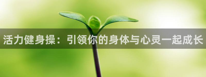 龙8网页版登录入口