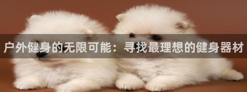 龙八国际官网下载
