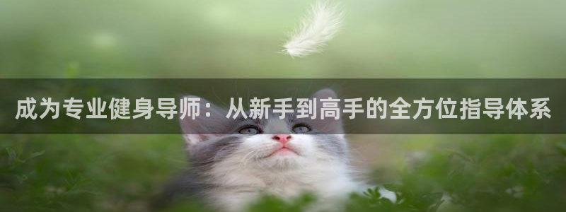 龙8国际long8龙8游戏