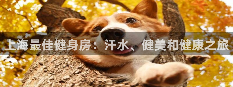 龙8国际平台登录