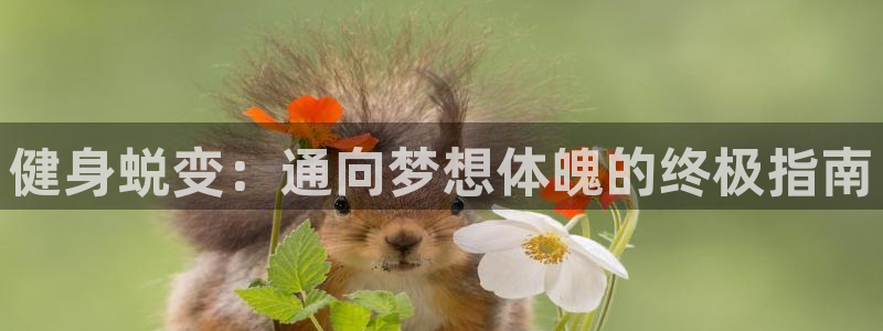 龙8国际会员注册