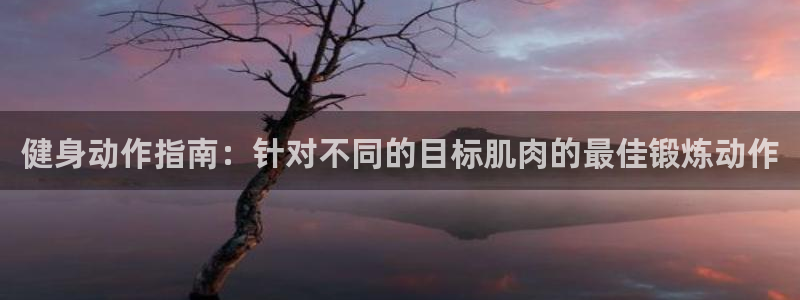 龙8老虎机网络游戏