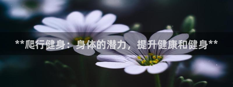 龙8国际平台输了多少