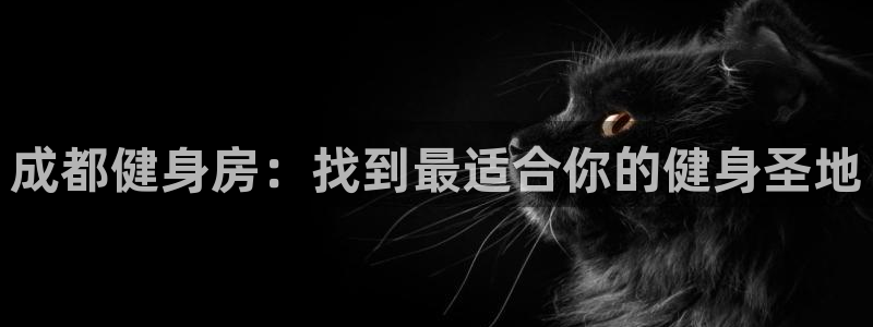 龙八国际服官网站