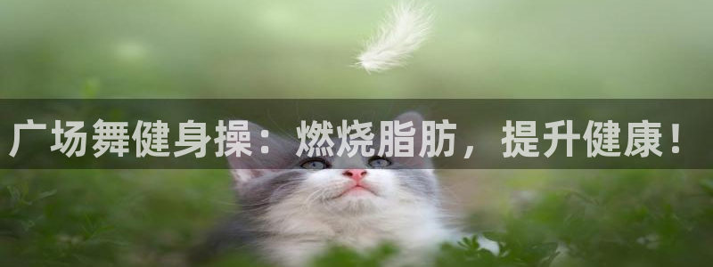 龙八国际登录密码