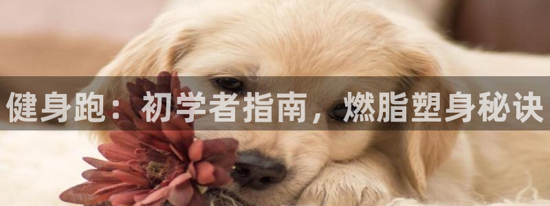 龙8国际会员注册