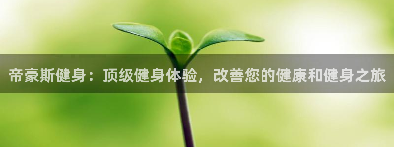 龙八国际娱乐老板是谁