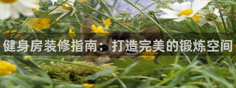 龙8国际怎么下载