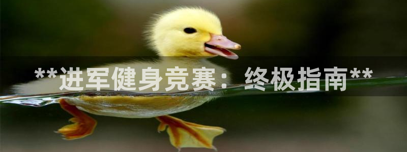 龙8国际app下载客户端