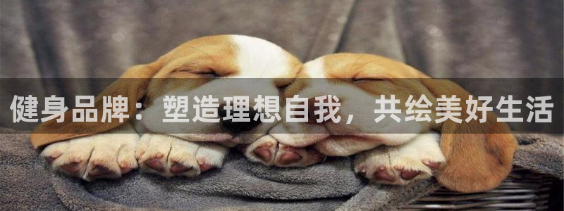 龙8国际安卓官方版fxzls-1.2.1 -安卓