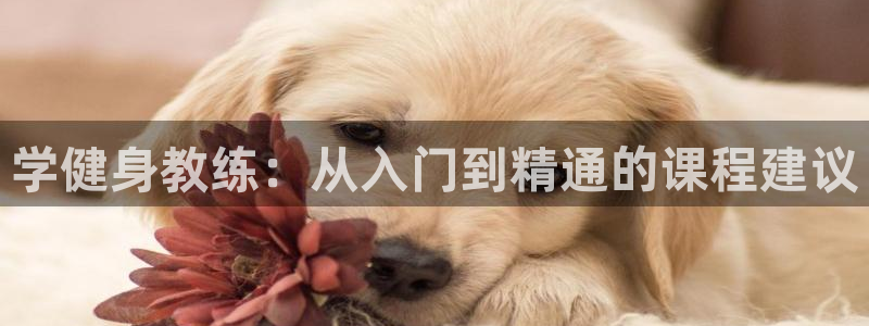 龙8国际登录网址推荐ag87253