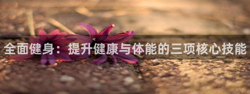 龙8国际唯一官网登录口