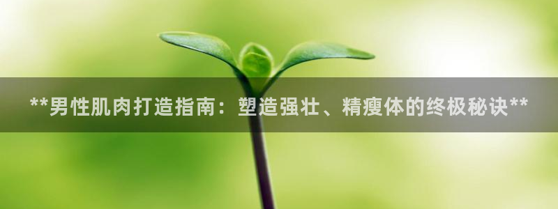 龙8国际官网官方版fxzls天地手游 -kc -安卓