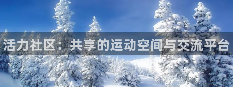 龙8官网手机登入口