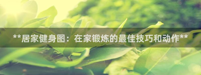 龙8官网在线试玩