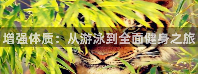 龙八国际官方网