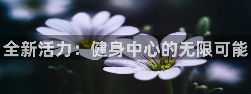 龙8国际游资如何