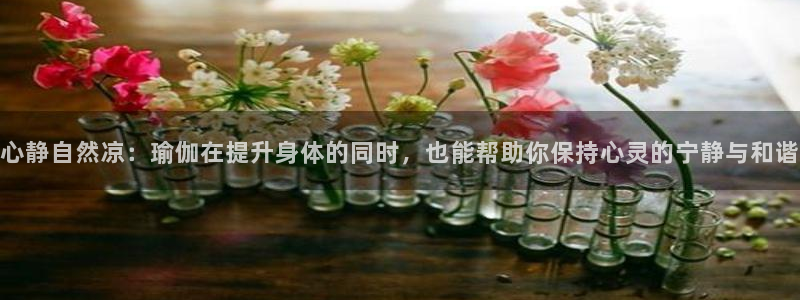 龙八国际娱乐官方网站