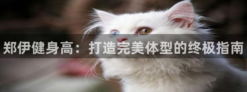 龙8游戏平台老虎机