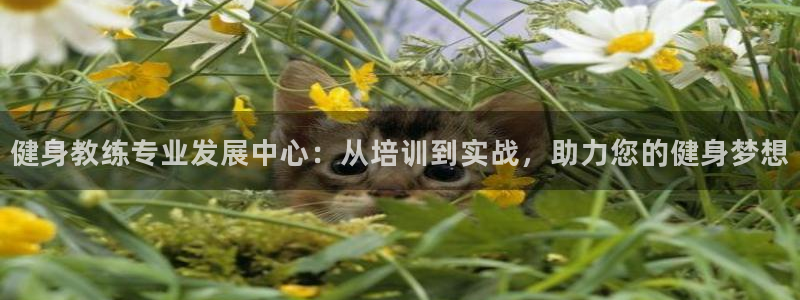 龙8游戏平台官方