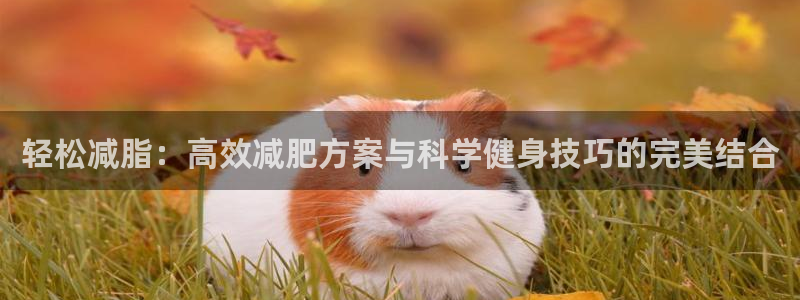 龙8官网在线试玩