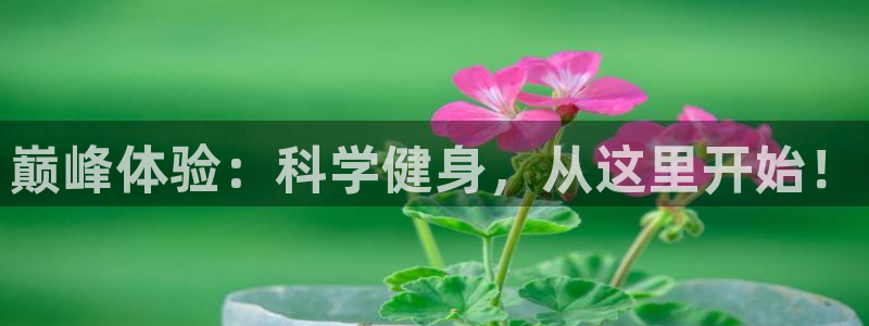 龙8国际long8官方版下载