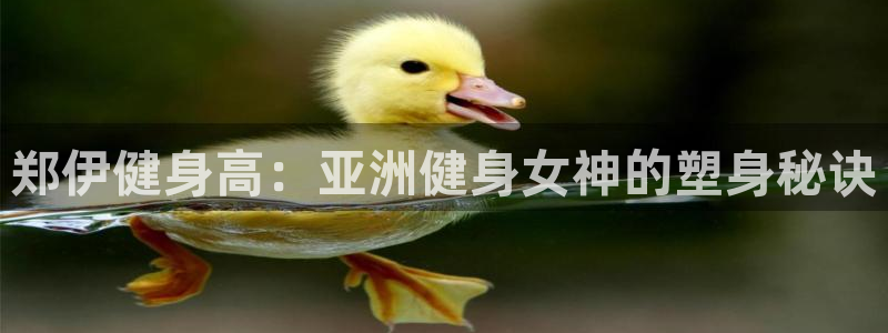 龙8国际app客户端下载不了