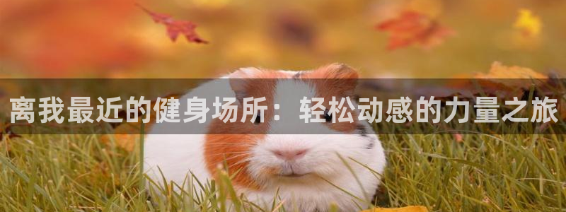 龙8国际老虎机官网