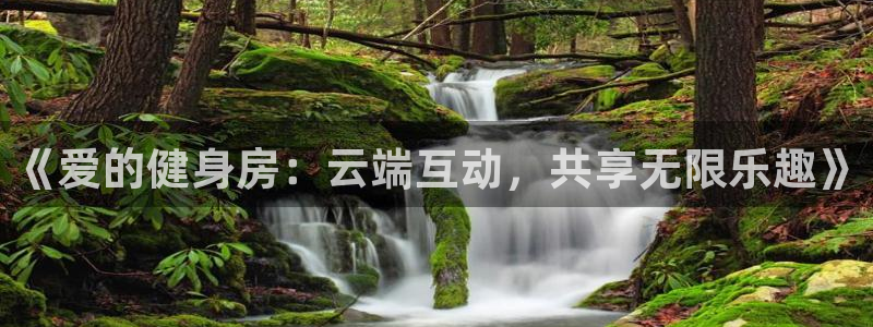 龙8国际安卓官方版fxzls-1.2.1 -安卓