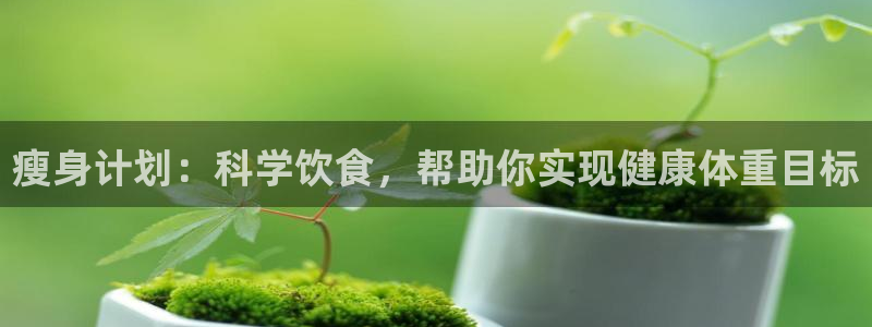 龙8国际官网官方版fxzls天地手游 -kc -安卓