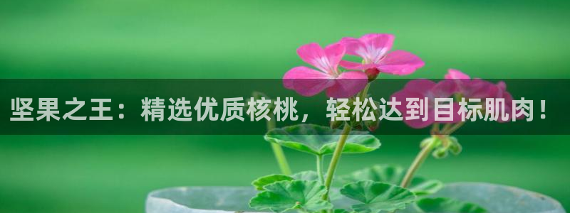 龙8游戏官方进入