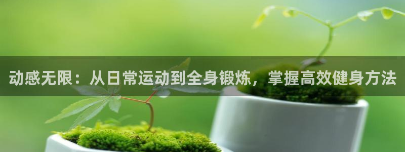 龙8国际app客户端下载