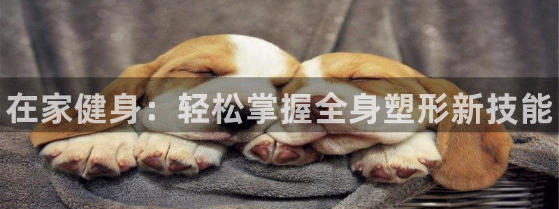 龙8国际老虎机官网