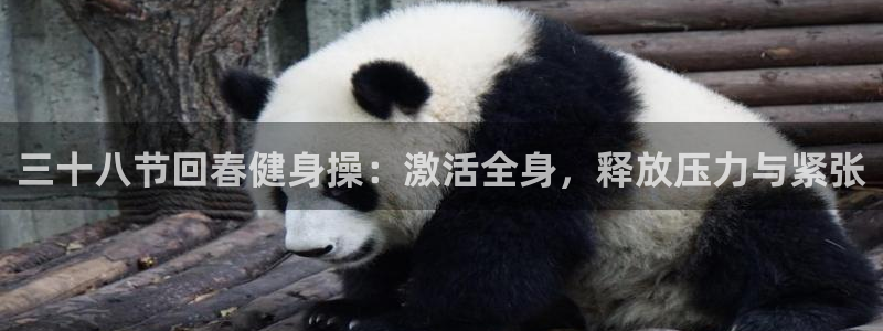 龙八国际手机在线登录