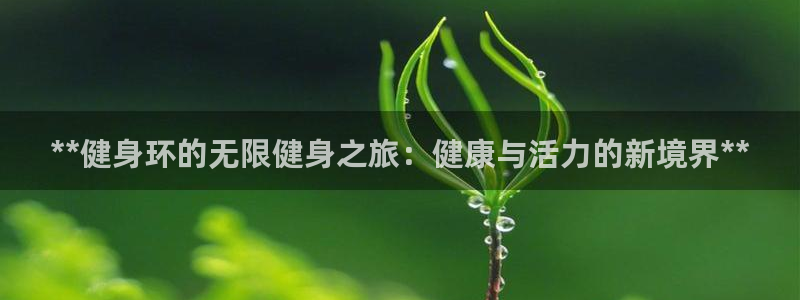 龙8国际游资如何