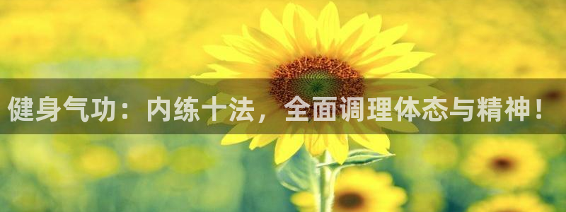 龙八国际服官网站