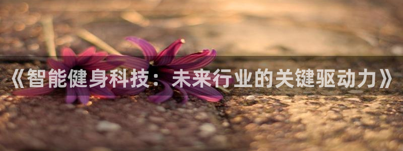 龙8国际怎么下载