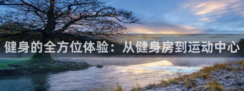 龙八国际服官网站