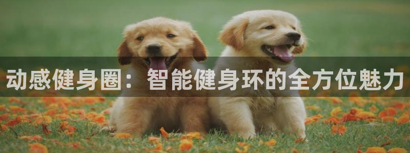 龙8国际老虎机官网