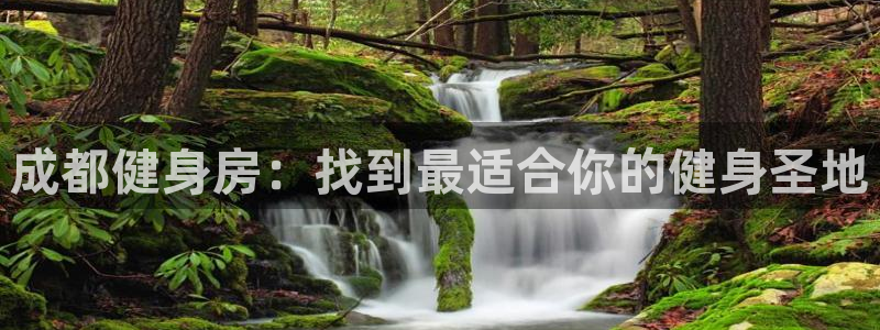 龙8国际是什么电影