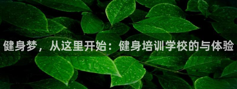 龙8游戏城网址
