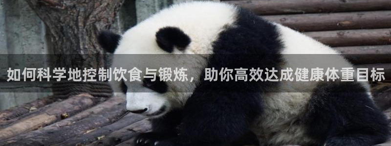 龙8国际中国官方网站