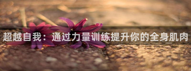 龙8国际网站怎么样