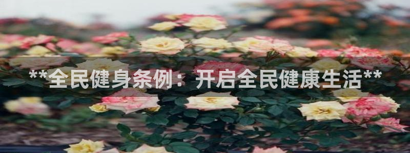 龙8老虎机手机版