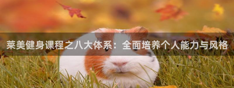 龙8国际平台登录